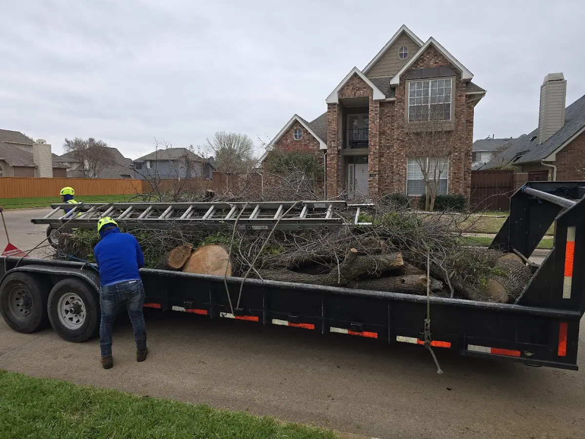 Expert Lot Clearing with proper safety equipment in Willow River